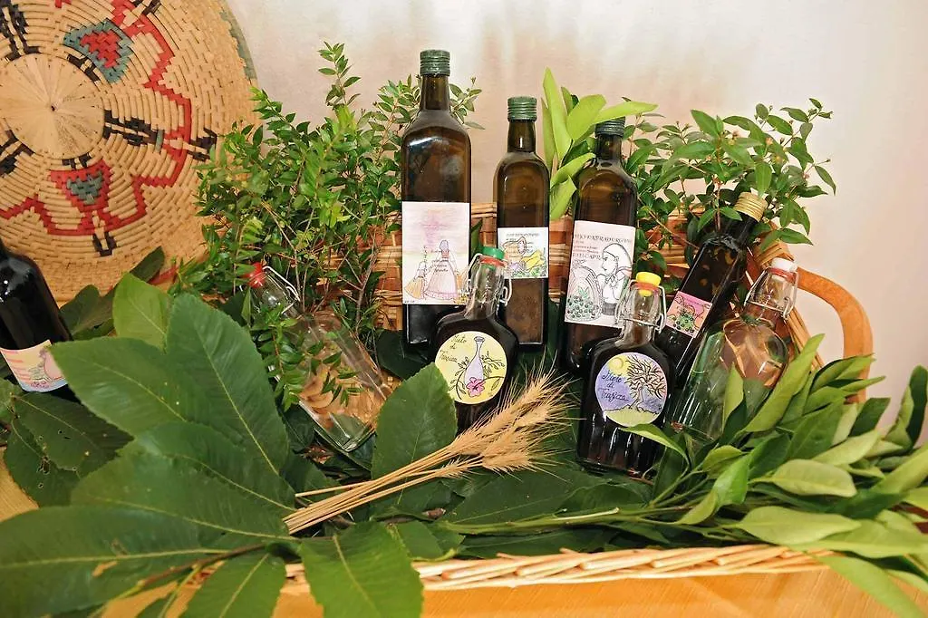 Guest house Trasicca B&B Brunella Italy