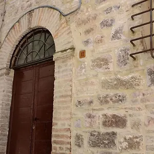 Calocci Asís